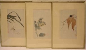 Japan: Fünf Blatt Farbholzschnitte: Insekten-, Vogel-, Pflanzenmotive. 29 x 17cm. JeRahmen mit