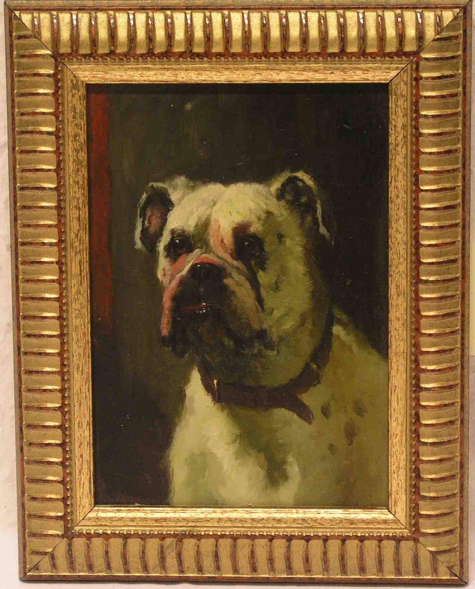 "Hunde Portrait", sitzende Bulldogge. Öl/Holz, 16 x 11cm, Rahmen.