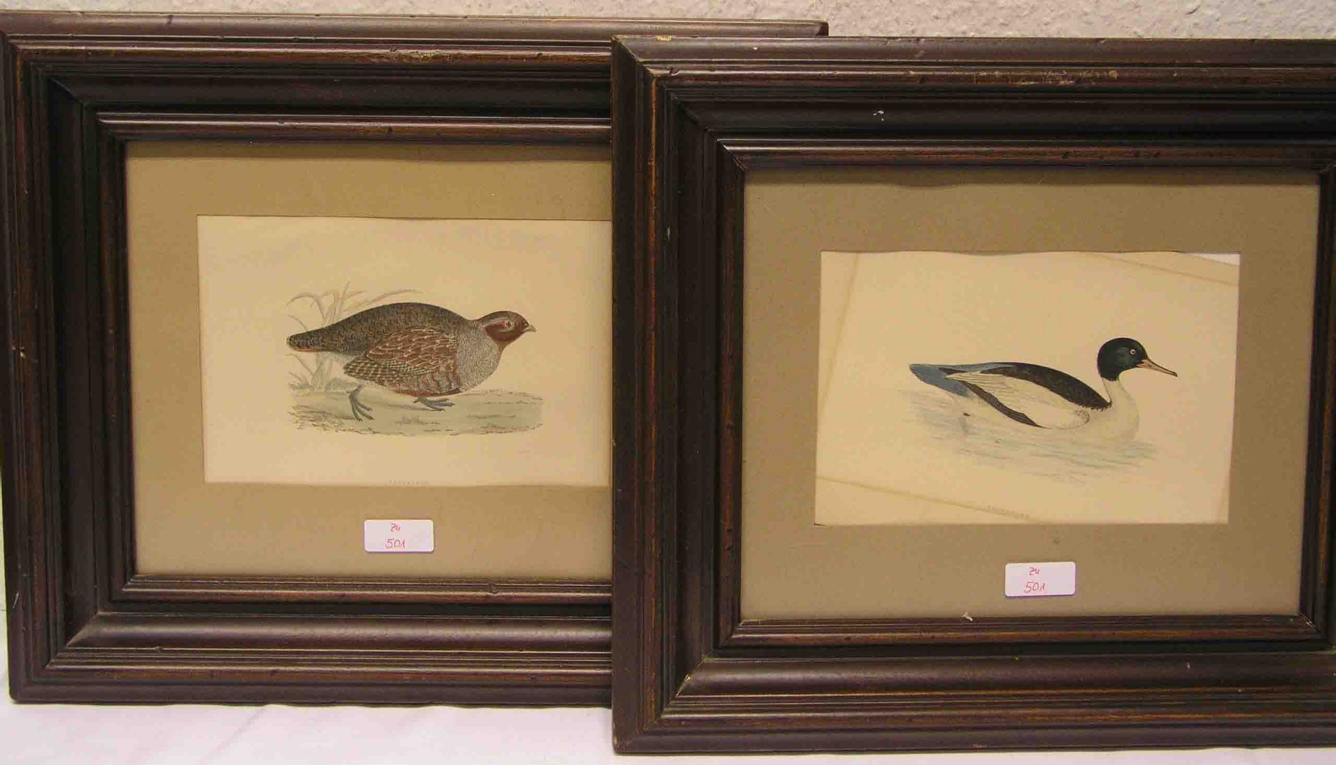 Satz von vier kolorierten Feder-Lithographien mit verschiedenen Vogeldarstellungen, ca.14,5 x
