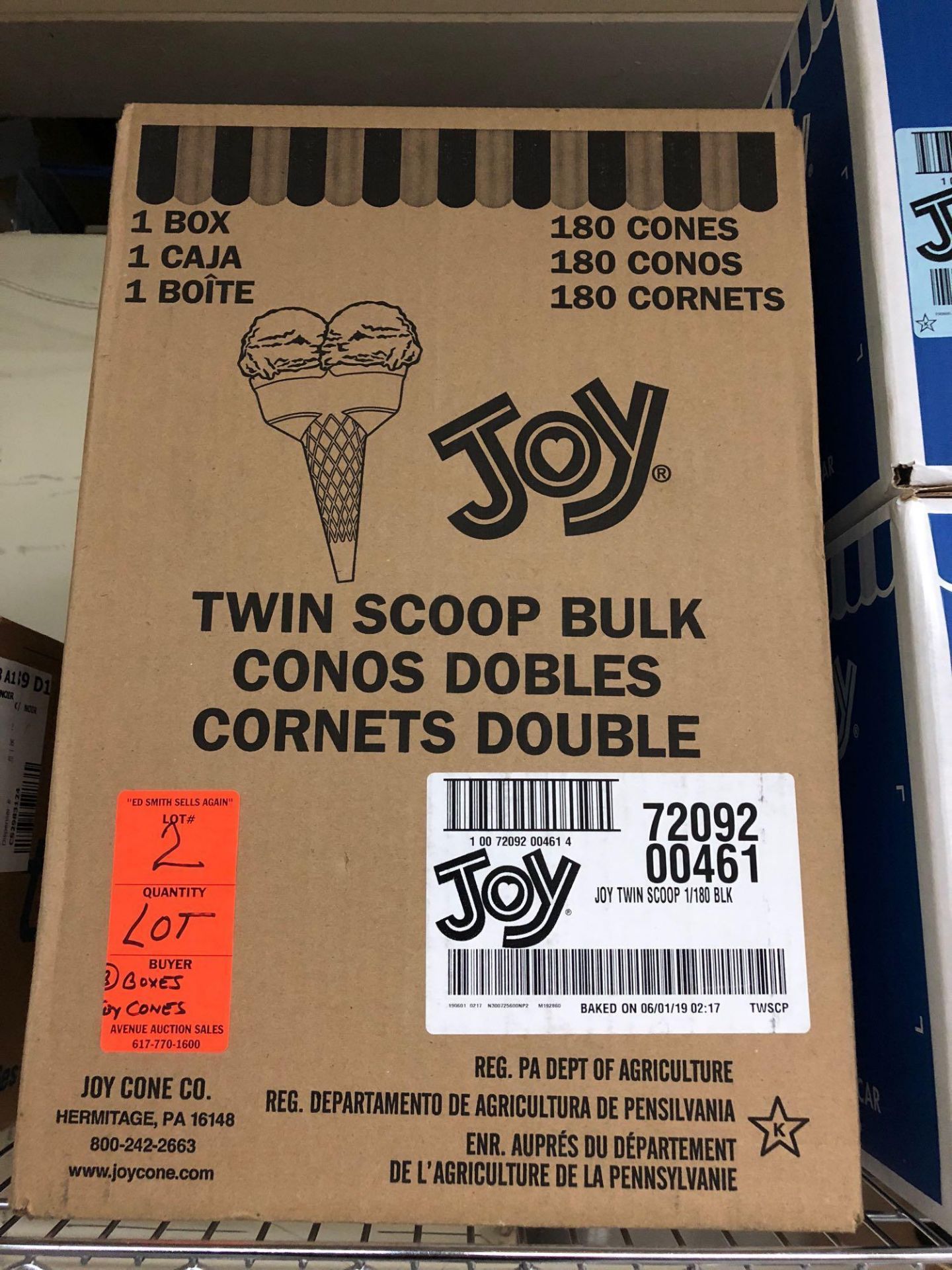 Joy Twin Scoop Cones