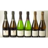 Champagne Grower Selection 6 bts