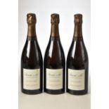 Champagne Bereche Campani Ramensis 2013 3 bts