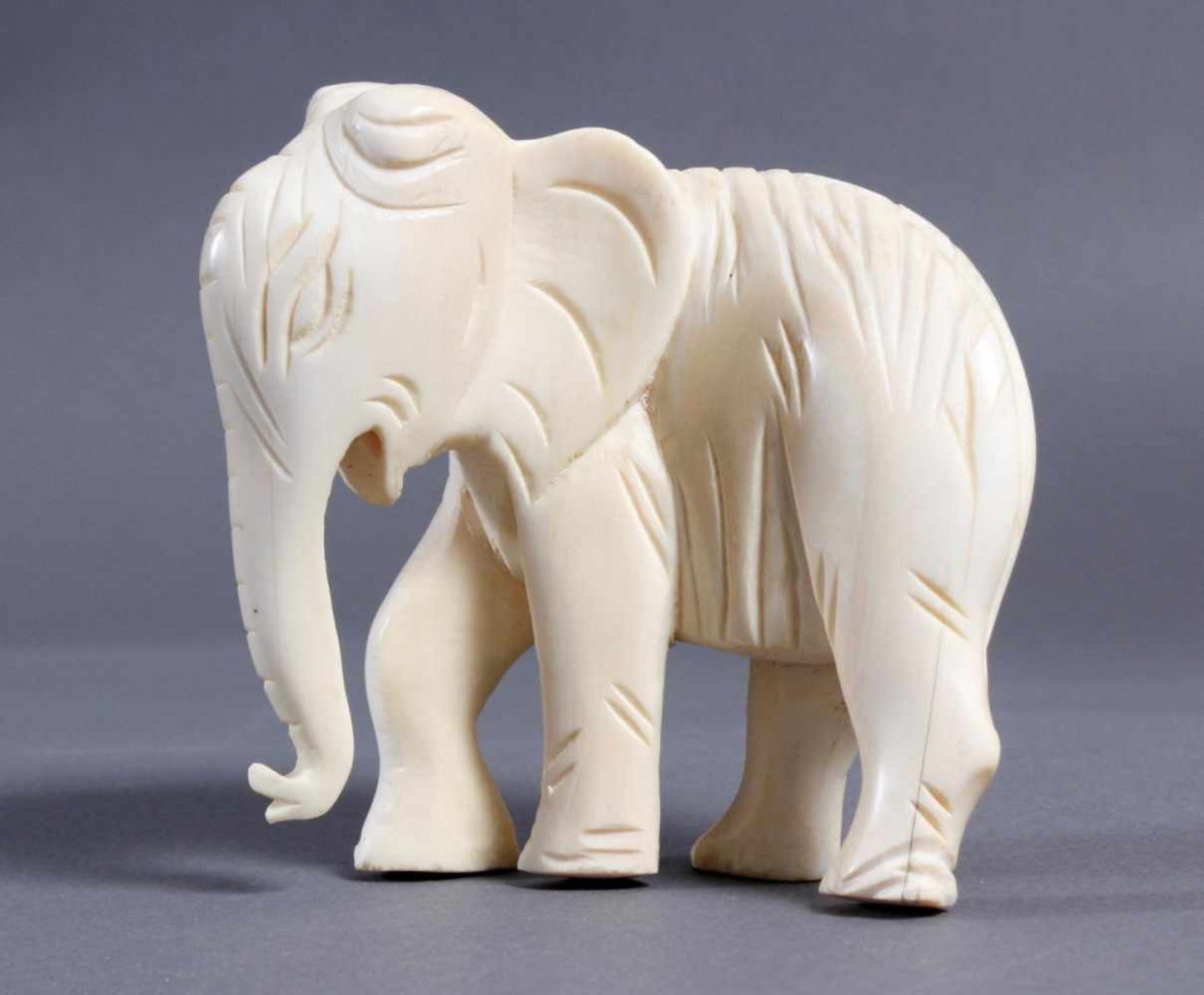 Elfenbein Elefant, Afrika um 1930