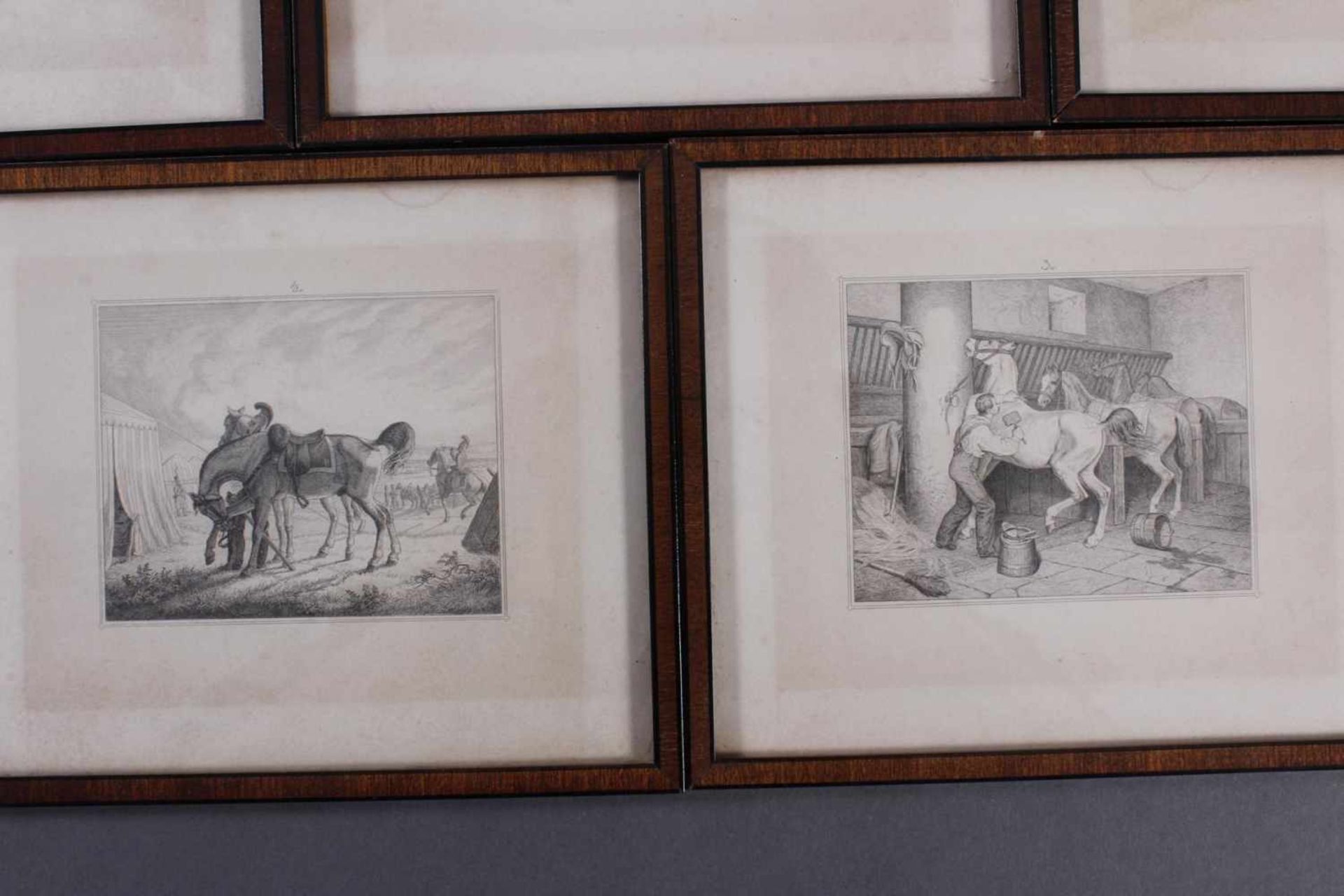 Acht Stahlstiche, Pferde und Reiter, 19. Jahrhundert - Bild 5 aus 6