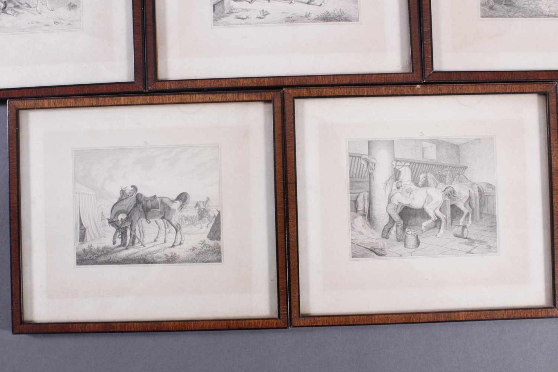 Acht Stahlstiche, Pferde und Reiter, 19. Jahrhundert - Bild 6 aus 6