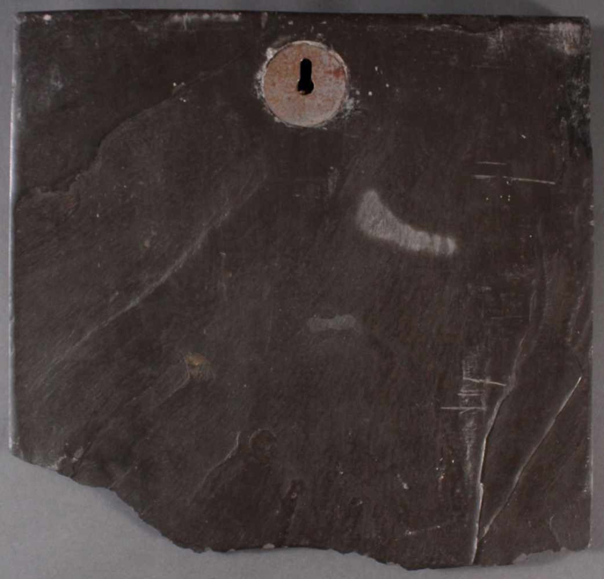 Große Schieferplatte mit Fossil "Ammoniten"< - Bild 3 aus 3