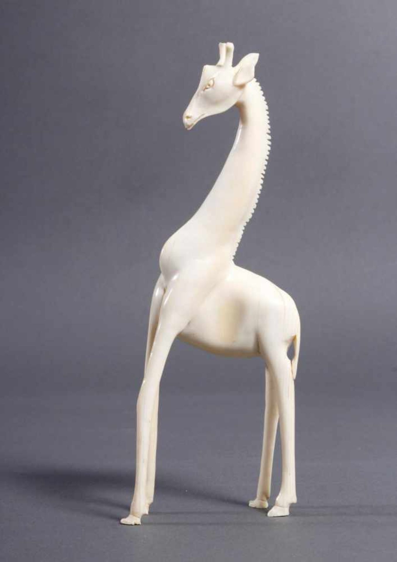 Elfenbein Giraffe, Afrika um 1930