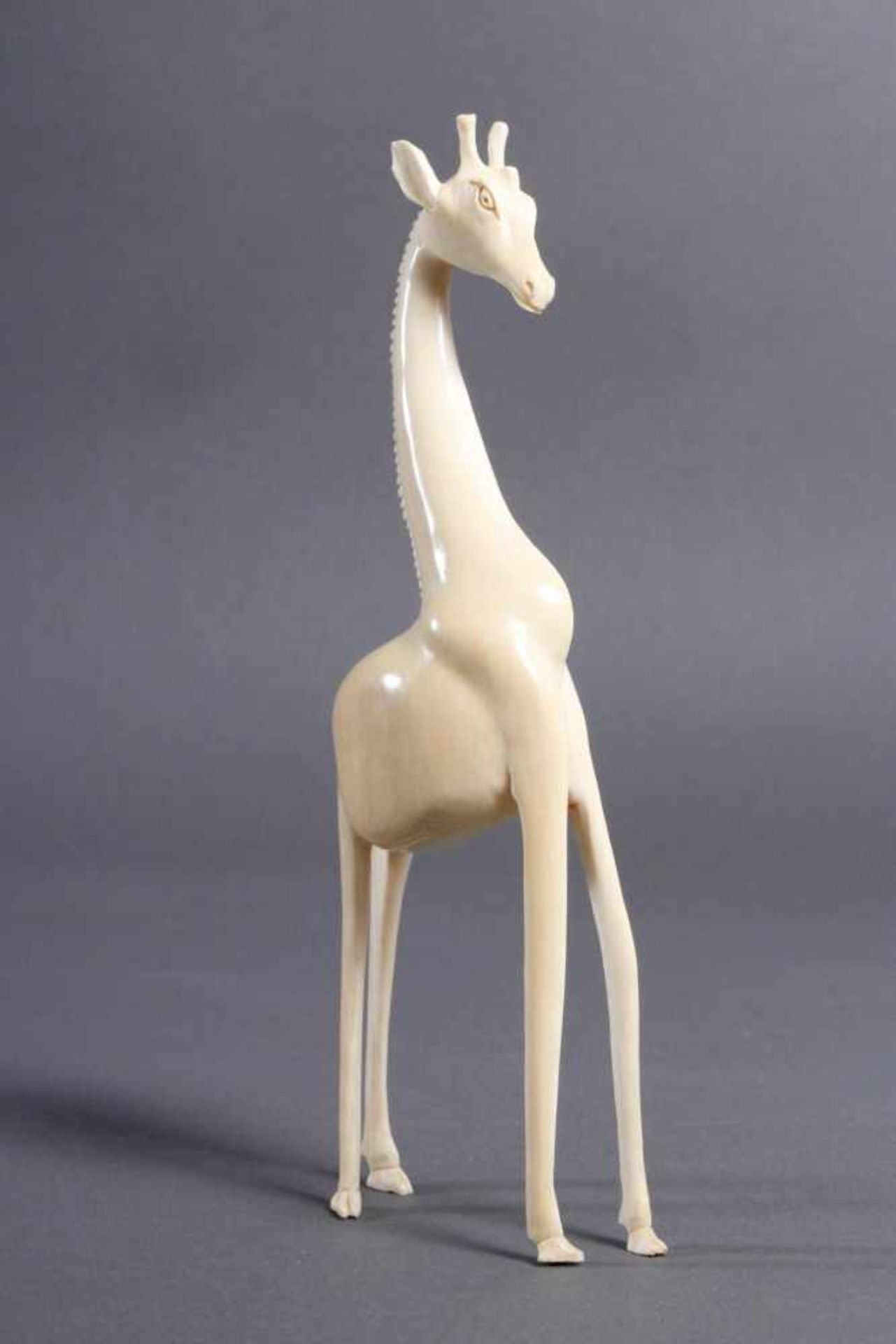 Elfenbein Giraffe, Afrika um 1930 - Bild 2 aus 5