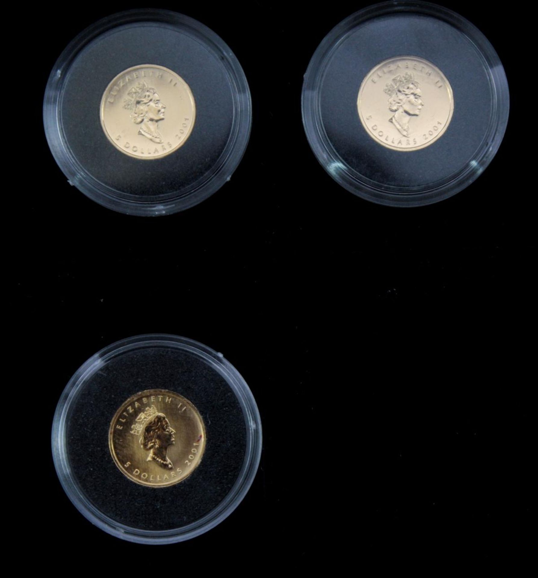 Kanada, 3 x 5 Dollar Goldmünzen, Maple Leafe - Bild 2 aus 2