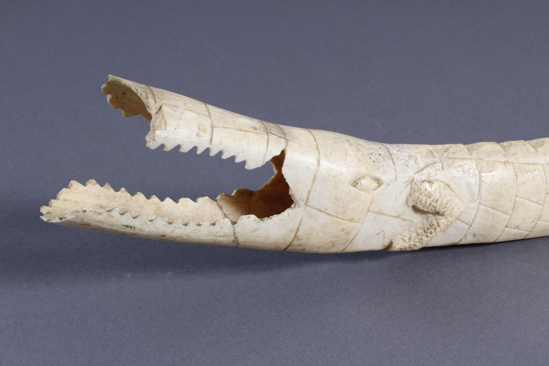 Elfenbein Krokodil, Afrika um 1930Vollplastisch ausgeformt. Mit schöner Alterspatina. Länge ca. 47,5 - Bild 4 aus 5