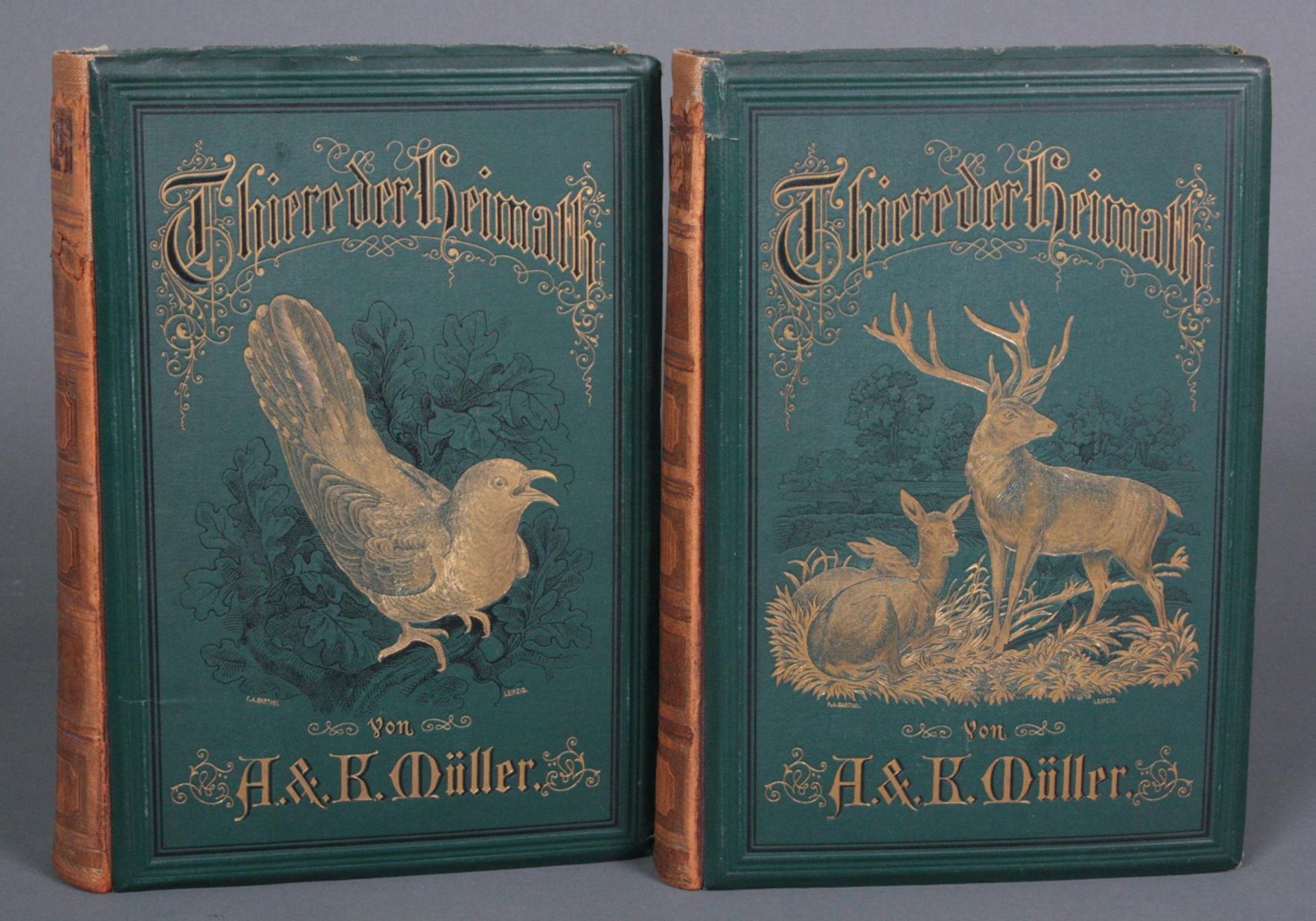 Thiere der Heimath Band I und II 1882/1883, A. & K. Müller