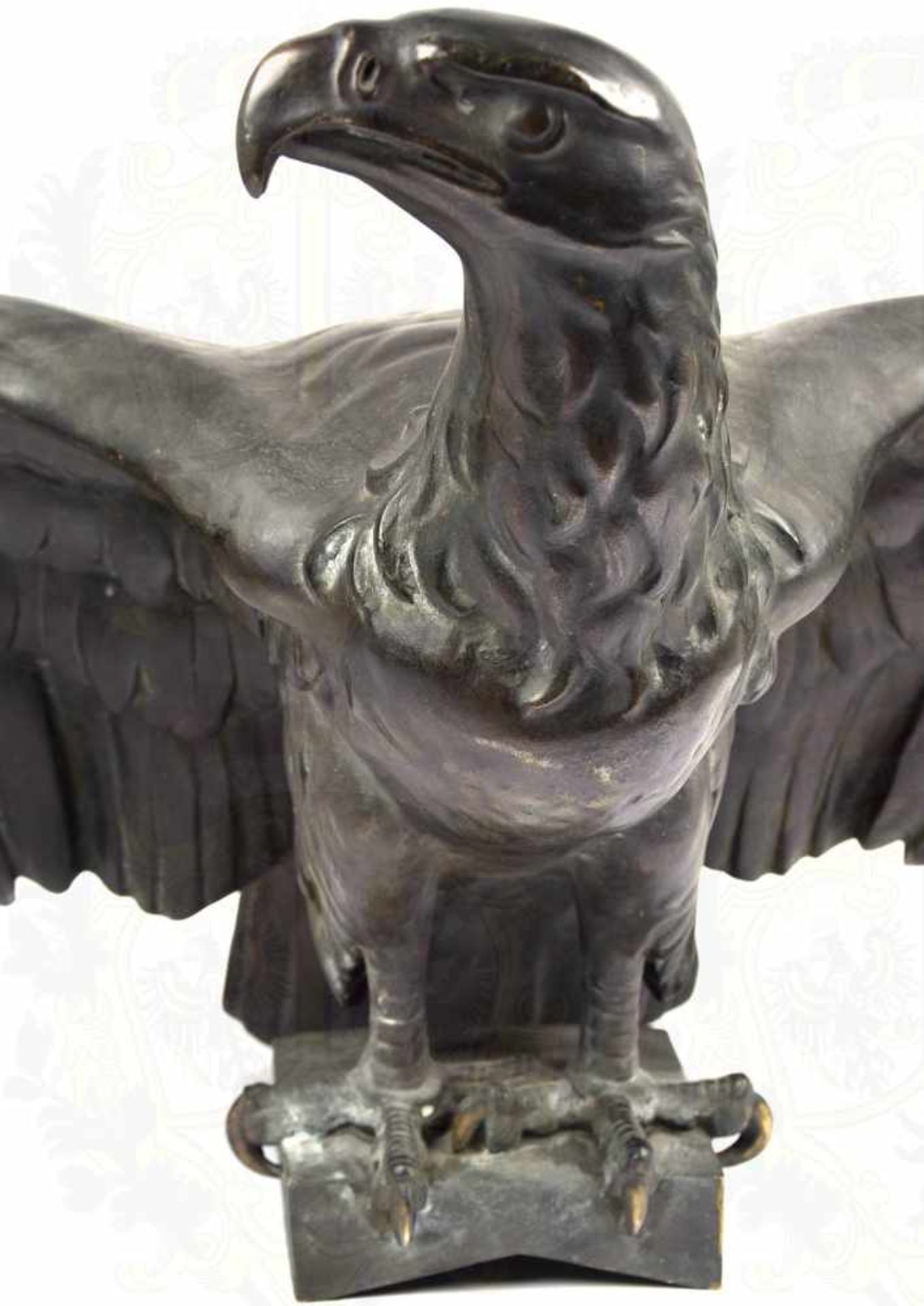 BRONZEPLASTIK ADLER, um 1910, Bronzeguss, dunkel patiniert, Adler auf Plinthe sitzend m. - Bild 5 aus 5