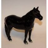 A Beswick model of a Fell pony, Dene Dauntless, black gloss,