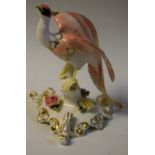 A Royal Crown Derby model, Chelsea Bird, signed S Kinsey,