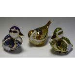 A Royal Crown Derby paperweight, Derbyshire Duckling, exclusively commissioned by Sinclairs,