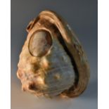 A 19th century Italian Grand Tour cameo conch shell,
