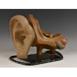 Medical Science - Anatomy - a mid-20th century painted composite didactic model, of the human ear,