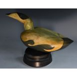 A North Canadian Type Eider Duck Decoy on a stand, carved and painted wood,