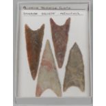 Antiquities - Stone Age, four large North African traingle points,
