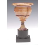 A Regency Derbyshire Blue John campana shaped pedestal vase, attributed to James Shore,