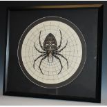 Arachnology - a large didactic illustration of a spider on its web, chromolithograph, circular,