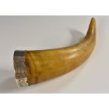 A 19th century silver coloured metal mounted horn,