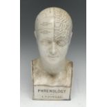 A 19th century earthenware medical bust, Phrenology by L.N.