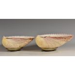 A pair of Italian silver mounted scallop shell dishes, 11.