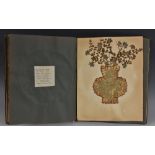 An early 20th century prize winning herbarium, Wild Flowers & Grasses,