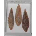 Antiquities - Stone Age, three fine North African spear points, various hues and sizes,