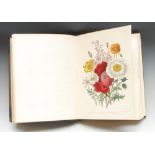 Botany - Loudon (Mrs [Jane]), The Ladies' Flower-Garden of Ornamental Perennials, second edition,