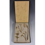 A 19th century herbarium, compiled during a tour of the South of France,