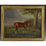 English School (19th century) Portrait of a Horse inscribed to verso William Eden's Horse,