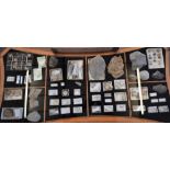 Natural History - Geology and Paleontology - a collection of twenty specimens of metallic minerals