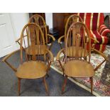 Four Ercol swan back carver chairs