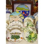 Collector's plates including local collieries, birds, etc; two decorative cabinet plates,