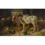 In the manner of Albert Becker Young Fiends, calves and chicks in a barn signed, oil on canvas,