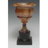 A Regency Derbyshire Blue John campana shaped pedestal vase, attributed to James Shore,