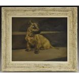 Chris McGregor (Scottish School, early 20th century) Dog Study, Portrait of a Terrier signed,