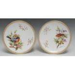 A pair of Royal Worcester circular plates, painted with birds on blossoming branches,