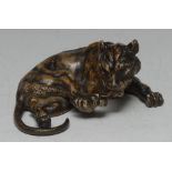An Austrian cold painted bronze, of a lion cub, curled, with back paw raised for grooming,