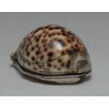 A George IV silver mounted cowrie shell snuff box, possibly Scottish, hinged cover, 8cm wide,