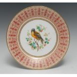 A Derby Crown Porcelain circular plate, painted with a bird perched on branches,