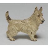 An Austrian cold-painted bronze, of a West Highland White Terrier, 6cm high,