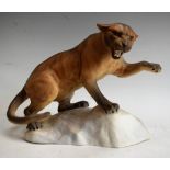 A Beswick figure, of a Puma on a rocky outcrop, poised to strike, model number 1702, 31.