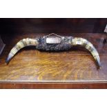 An 18th century tortoiseshell effect, papier mache snuff box mounted in horns,