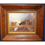 G Cox (early 20th century) Highland Cattle painted on a Crown Devon Fielding's panel, signed,
