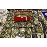 Horse Brasses - large quantity of local and other examples