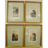 Archibald Thornton, after, a set of four, Birds of Prey, framed; G. D.