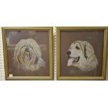 P Brown (20th century), a pair, Newfoundland and Long haired Terrier Dogs Heads,